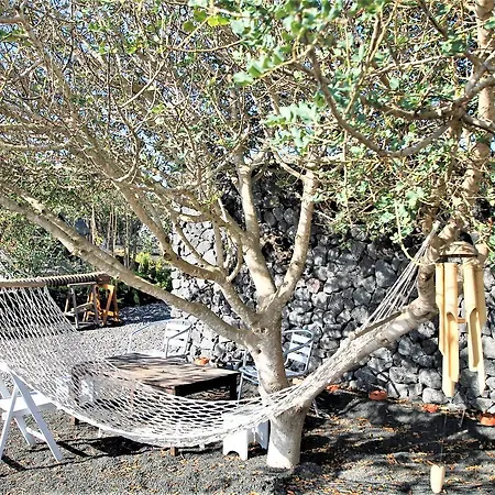 Finca Tisalaya * Tinajo